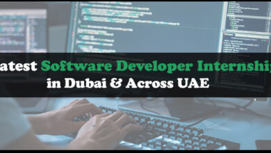 Software Developer Internship